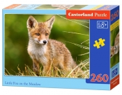 Puzzle 260: Little Fox on the Meadow