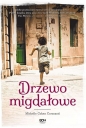 Drzewo migdałowe wyd. 2022 - Michelle Cohen Corasanti