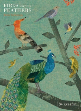 Birds and Their Feathers - Teckentrup Britta