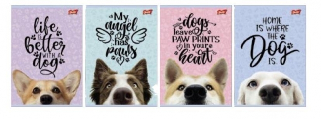 <img src='https://webimage.pl/pics/355/5/d5903235675355.jpg'>