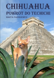 Chihuahua powrót do techichi - Paszkiewicz Marta