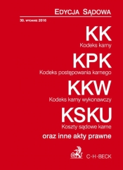 Kodeks karny Kodeks postępowania karnego Kodeks karny wykonawczy Koszty sądowe karne oraz inne akty prawne