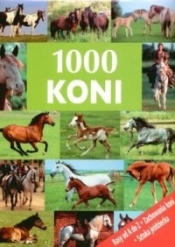 1000 koni