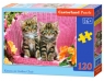 Puzzle 120: Kittens on Garden Chair (B-13357)