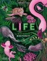 Life wer. angielska Jennifer N. R. Smith