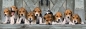 Puzzle Panorama High Quality Collection 1000: Beagles (39435)