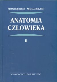 Anatomia człowieka Tom 2