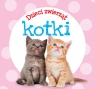 Dzieci zwierząt - kotki Opracowanie zbiorowe