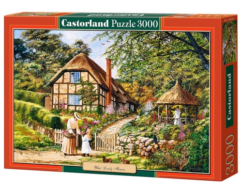 Puzzle What Lovely Flowers 3000 (C-300358)