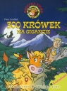 300 krówek na gigancie Peter Coolbak