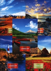 Zeszyt A5 Top-2000 w kratkę 96 kartek Landscape mix