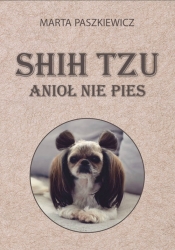 Shih tzu anioł nie pies