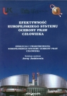 Efektywność europejskiego systemu ochrony praw człowieka Ewolucja i