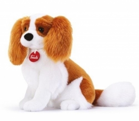 Maskotka Cavalier King TRUDI