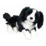 Border collie leżący 30cm