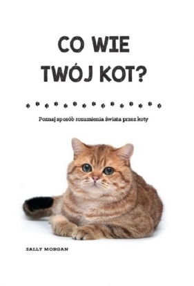 Co wie Twój kot? - Sally Morgan