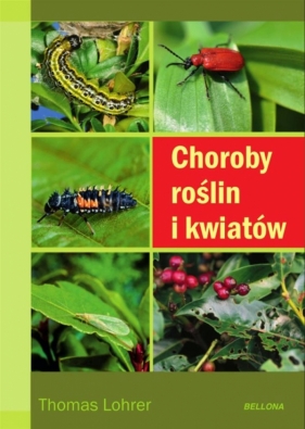 Choroby roślin i kwiatów - Tomas Lohrer