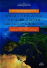 System euroatlantycki w wielobiegunowym ładzie międzynarodowym