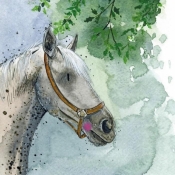 Karnet Koń pod drzewem