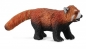 Panda czerwona M