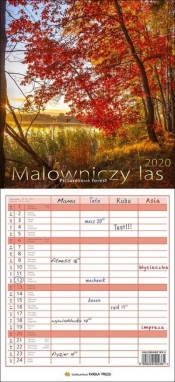 Kalendarz 2020 Wielopl. - Malowniczy las PP