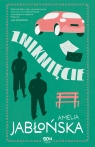 Zniknięcie