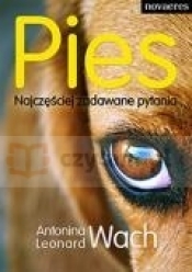 Pies. Najczęściej zadawane pytania
