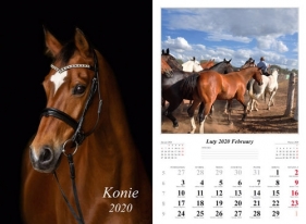 Kalendarz 2020 wieloplanszowy Konie
