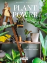 Plant Power Jak wychować szczęśliwe rośliny Augustyn Małgorzata