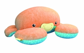 Octopi: krabik + latarnia morska