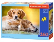 Puzzle Friendship Forever 260 elementów