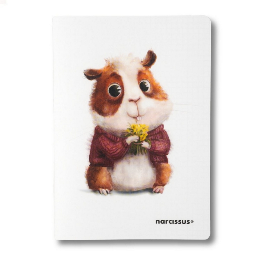 <img src='https://webimage.pl/pics/362/0/d5906630900046---5.png'>