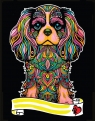  Kolorowanka Welwetowa A4 Cavalier King Charles Spaniel