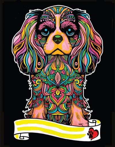 <img src='https://webimage.pl/pics/363/0/d8024238050363.jpg' style='height:440px' /> Kolorowanka Welwetowa A4 Cavalier King Charles Spaniel