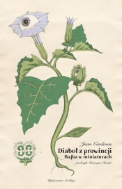 Diabeł z prowincji - Juan Cárdenas