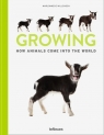 Growing How Animals come into the World Willemsen Marlonneke