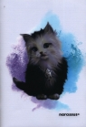  Zeszyt PP JOY A4 w trzy linie 32 kartki