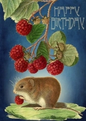 Karnet B6 z kopertą Urodziny Myszka