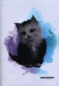Zeszyt PP JOY A4 w trzy linie 32 kartki