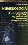 Numerologia Jak wykorzystać magię liczb, aby przewidzieć i zaplanować Silver Jules