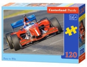 Puzzle 120: Race to Win