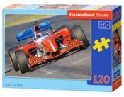 Puzzle 120: Race to Win