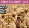 Kalendarz 2018 30x30 Dzieci Zwierząt HELMA