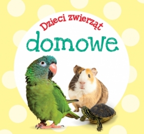 Dzieci zwierząt - domowe - Opracowanie zbiorowe