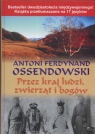 Przez kraj ludzi, zwierząt i bogów  Antoni Ferdynand Ossendowski