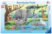 Ravensburger, Puzzle ramkowe 15: Afrykańskie zwierzęta (6136)