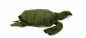Żółw 45cm