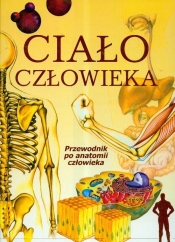 Ciało człowieka - <br />