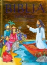 Biblia Święta historia dla naszych dzieci