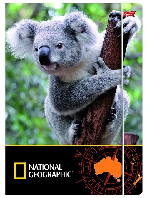 Teczka z gumką A4 National Geographic